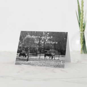 *40th* DON'T LET THEM PUT "YOU" OUT TO PASTURE Card