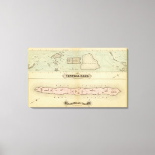 41 Central Park, Blackwells Island Canvas Print