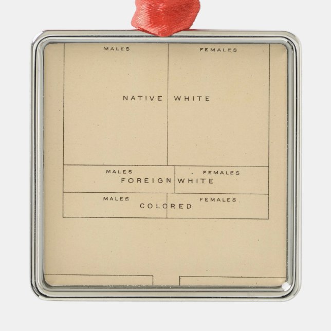 41 Elements of population 1900 Metal Ornament (Front)