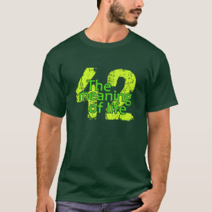 42 Meaning of Life shirt - choose style & colour