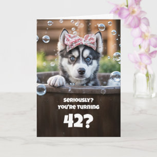 42nd Happy Birthday Cute Husky Dog in Tub  Card
