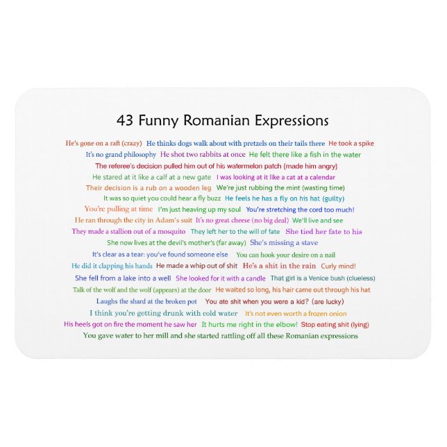 43 Funny Romanian Expressions Conversation Piece  Magnet (Horizontal)
