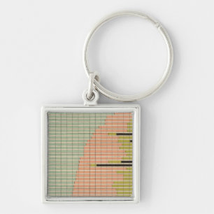 44 Constituents of cities 1900 Keychain