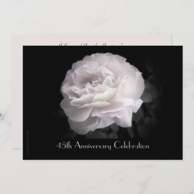 45th Anniversary Party Invitation Pale Pink Rose (Front/Back)