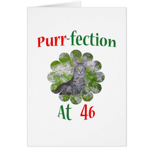 46 Purr-fection (Front)