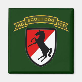 46th IPSD - 11th ACR Magnet