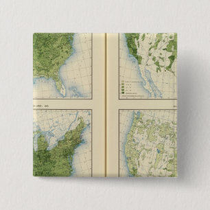 47 Corn 1890 2 Inch Square Button