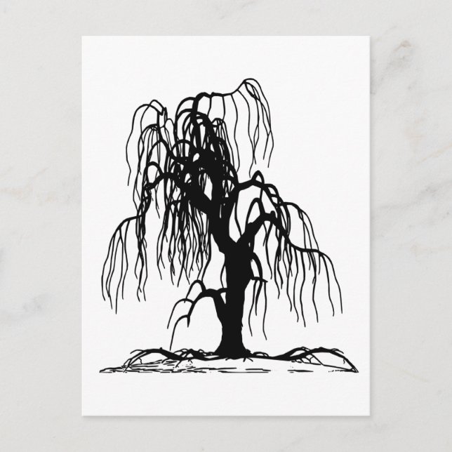 4920 SCARY WEEPING WILLOW TREE BLACK SILHOUETTE GR POSTCARD (Front)