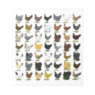 49 Chicken Hens Notepad