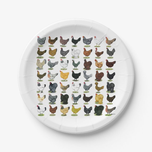 49 Chicken Hens Paper Plate (Front)
