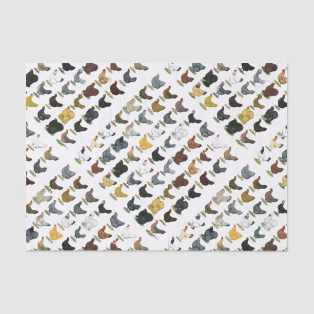 49 Chicken Hens Tissue Paper (Front)