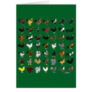 49 Roosters
