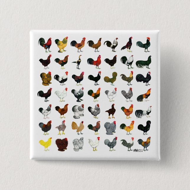 49 Roosters 2 Inch Square Button (Front)
