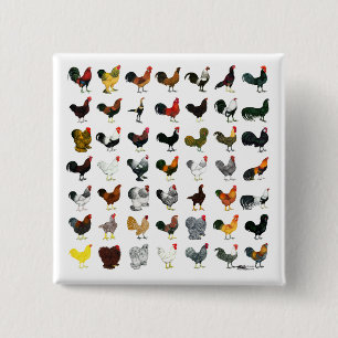 49 Roosters 2 Inch Square Button
