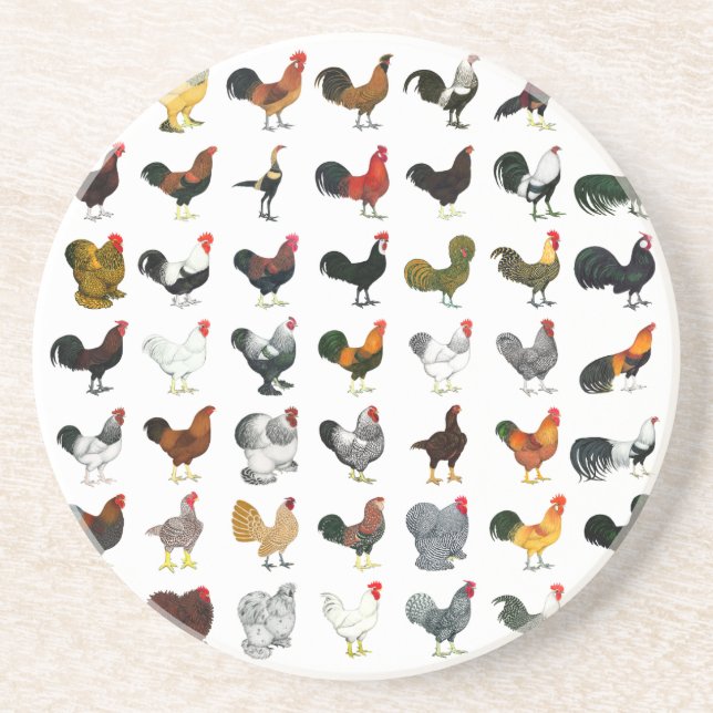 49 Roosters Coaster (Front)