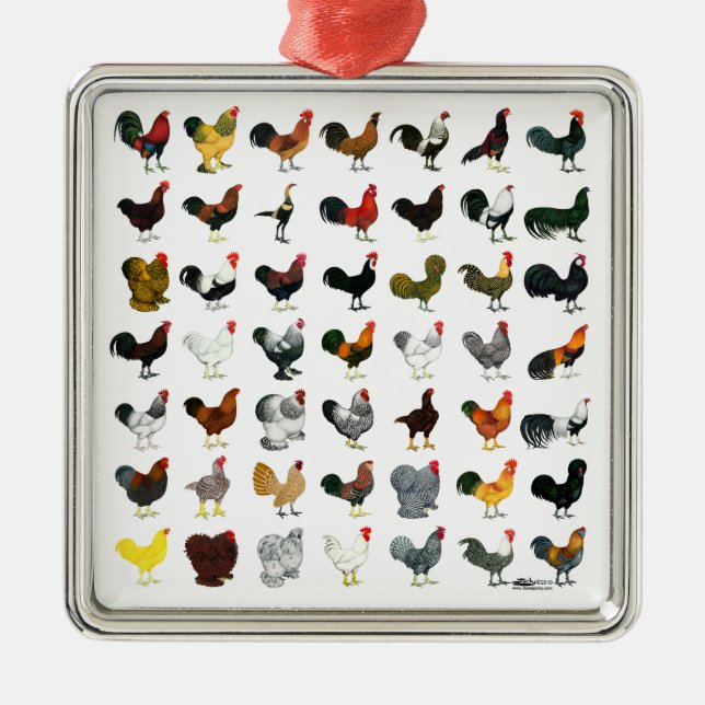 49 Roosters Metal Ornament (Front)
