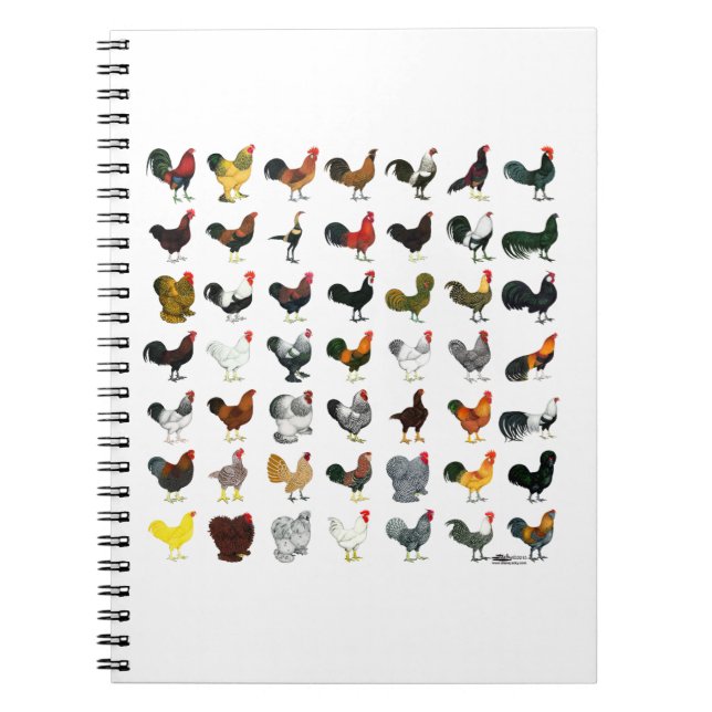 49 Roosters Notebook (Front)