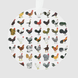 49 Roosters Ornament