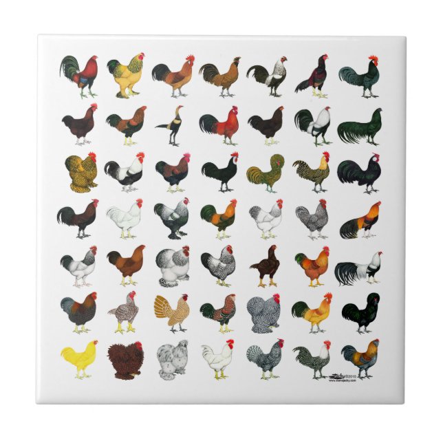 49 Roosters Tile (Front)