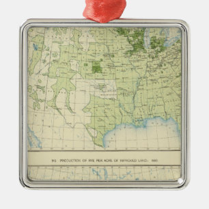 49 Rye 1890 Metal Ornament