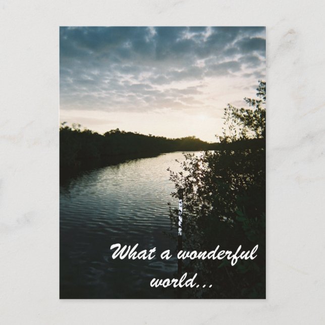 4-11-2007-07, What a wonderful world... Postcard (Front)