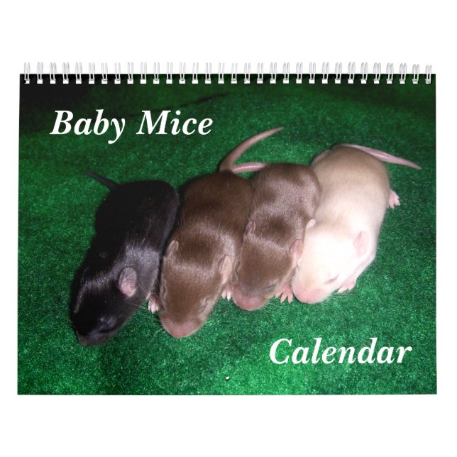 4 Baby Mice Growing Up Calendar (Cover)
