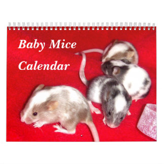 4 Baby Variegated Mice Growing Up Calendar