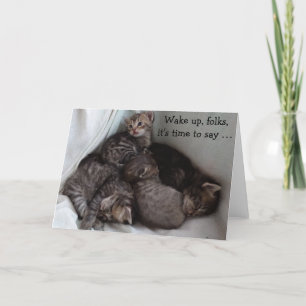 4 chatons sur une carte d'anniversaire amusante