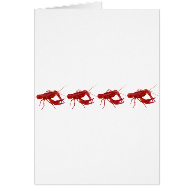 4 cooked crawfish (Front)