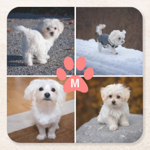 4 Custom Pet Dog Photo Pink Paws Monogrammed  Square Paper Coaster