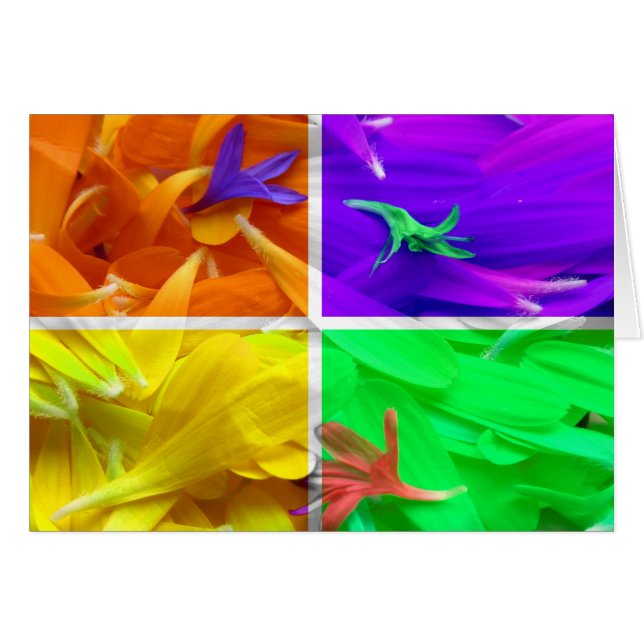 4 Florals (Front Horizontal)