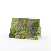 "4 fois ?" Carte de voeux BREAK-UP