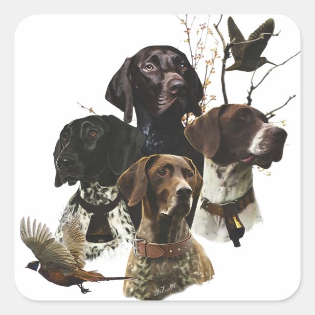 4 German Shorthaired Pointer Colours  Square Sticker (Front)