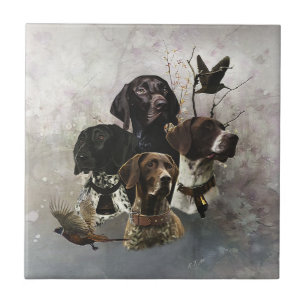 4 German Shorthaired Pointer Colours  Tile