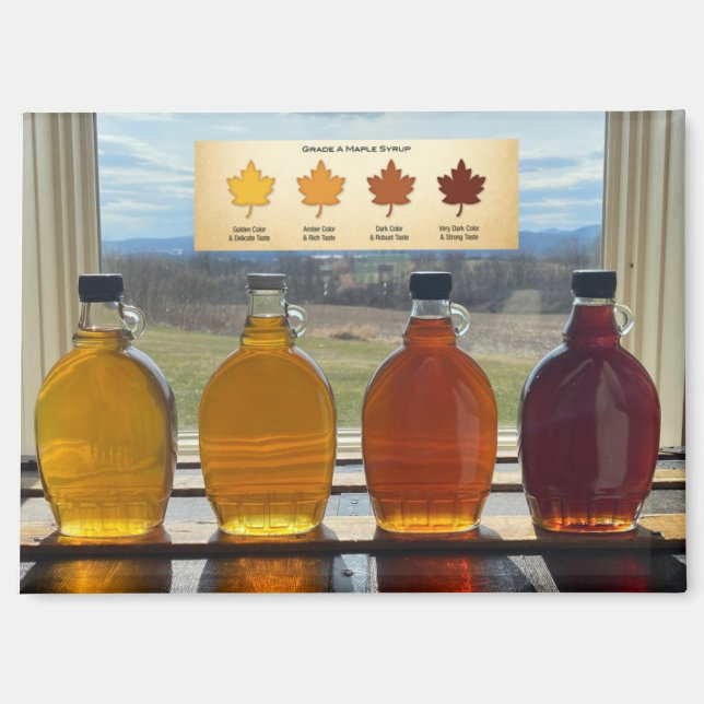 4 Grades of Maple Syrup Magnet (Front)