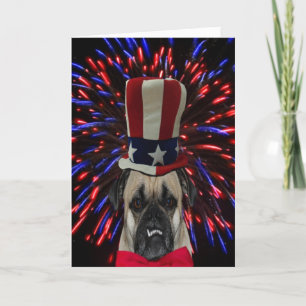 4 juillet Carlin et carte Fireworks