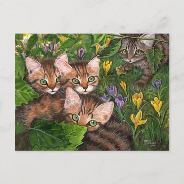 4 Kittens Crocus Postcard (Front)