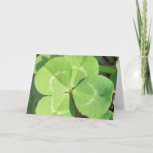 4 Leaf Clover Good Luck Charm Card