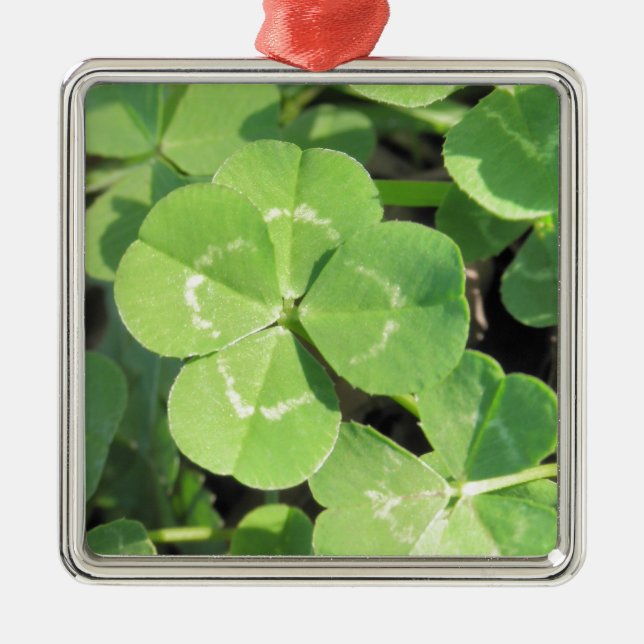 4 Leaf Clover Good Luck Charm Photo Metal Ornament (Front)