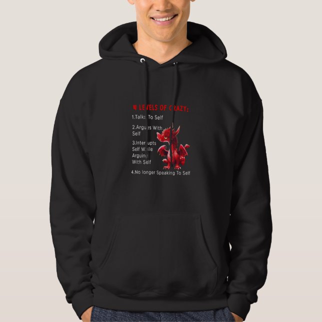 4 Levels Of Crazy Talk To Selfs Argue With Self Dr Hoodie (Front)