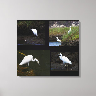 4 Little Egrets Wrapped Canvas