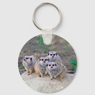 4 Meerkats Peering Keychain