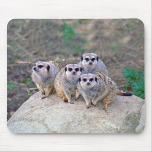 4 Meerkats Peering Mousepad