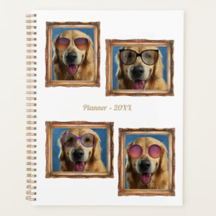 4 Photo Collage Chiens Vintages Chiens de cadre An