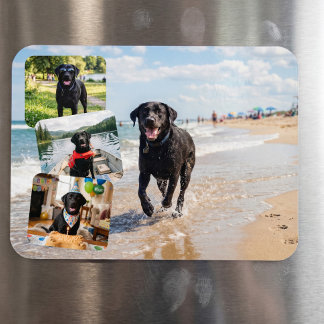 4 Photo Collage Personalized Custom Magnet