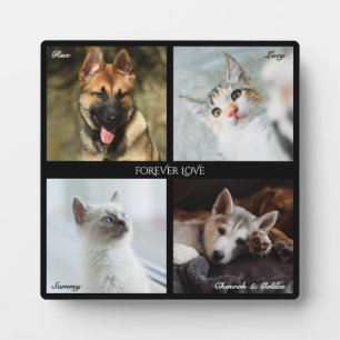 4 Photo Pet Collage, Black Frame, Caption - Square Plaque