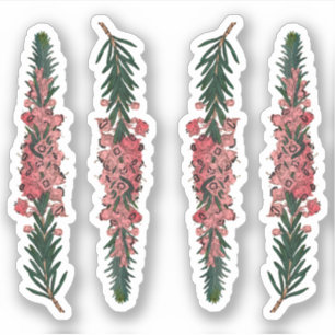 4 Sprigs of Cornish Heath (Erica vagans) - Contour