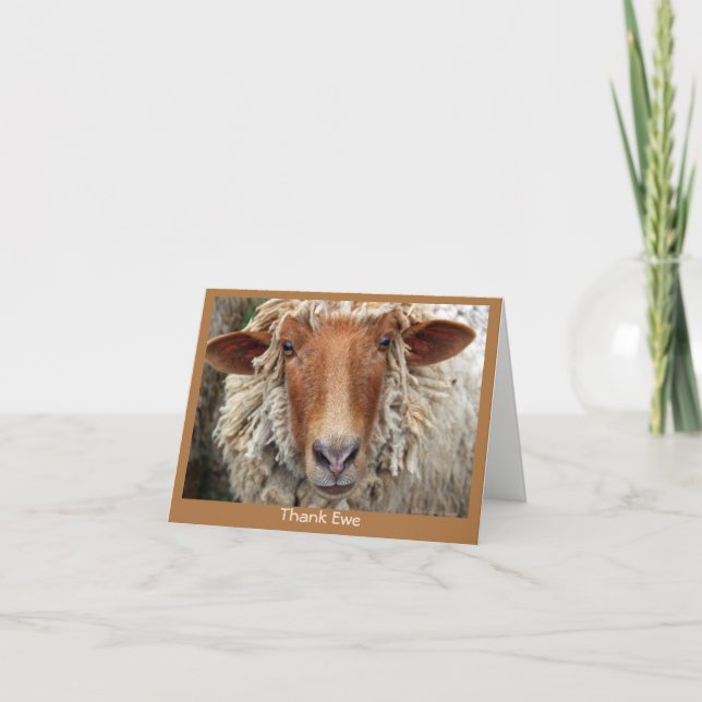 #4 Thank Ewe: A whimsical card (Front)