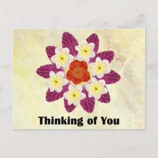 4 Thinking of You Postcard