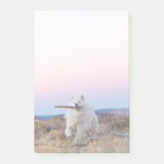 4"x6" Post-it Notes - Branch Manager